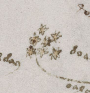 Detail: the star cluster identified as the Pleiades with the label doaro